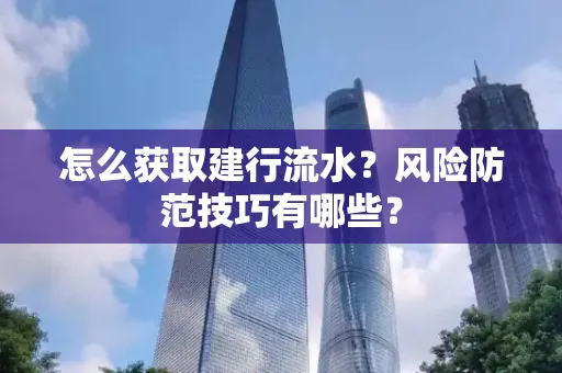 怎么获取建行流水？风险防范技巧有哪些？